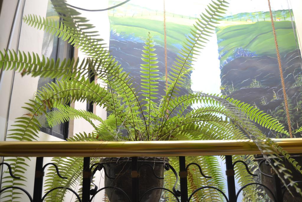 Mashy'S Hostal Otavalo Bagian luar foto